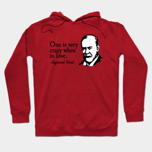 One is very crazy when in love Valentine's day fun Hoodie